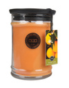 Świeca zapachowa Orange Vanilla 250 g Bridgewater Candle